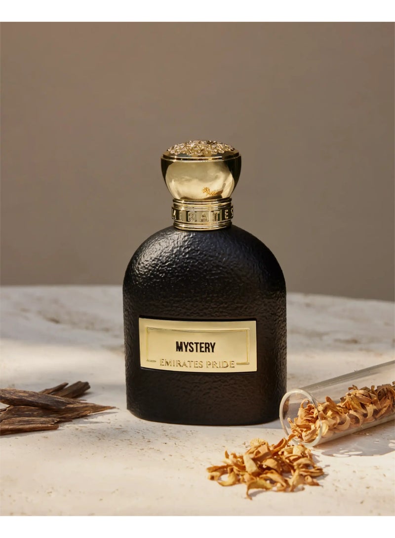 Emirates Pride Mystery PERFUME EDP 100ML - Image 2